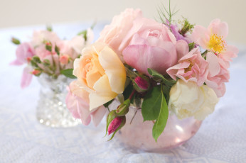 Картинка цветы розы розовый