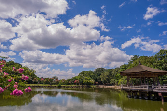 Картинка ukimido pavilion nara park japan природа парк нара деревья павильон беседка облака пруд