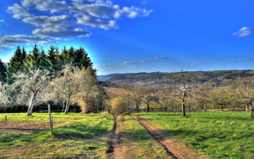 Картинка природа дороги дорога деревья кусты трава облака