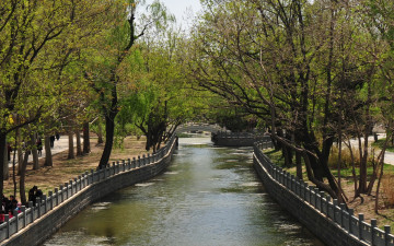 Картинка природа реки озера парк река