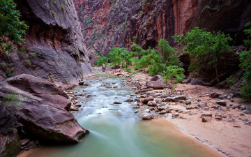 Картинка zion national park utah природа реки озера юта национальный парк зайон virgin river скалы каньон река вирджиния
