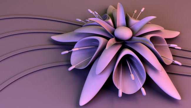 Обои картинки фото 3д, графика, flowers, цветы, фон, лепестки