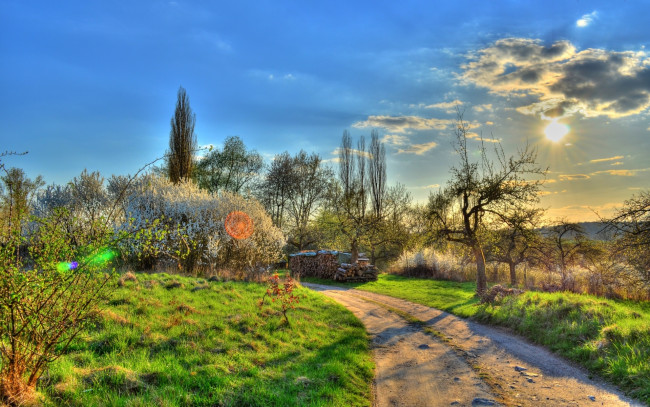 Обои картинки фото природа, дороги, дорога, деревья, кусты, трава, облака, солнце