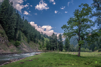 Картинка природа реки озера река лес