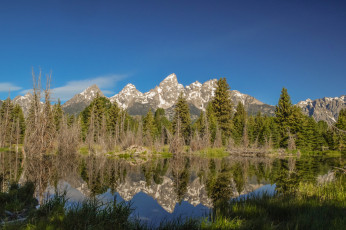 Картинка природа реки озера лес река