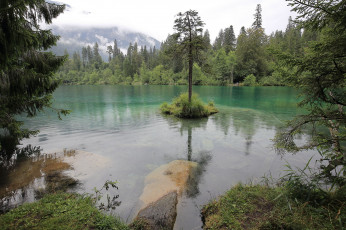 Картинка природа реки озера лес река