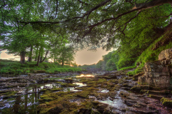 Картинка природа реки озера река лес