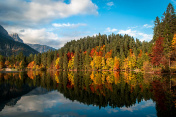 Картинка природа реки озера река лес