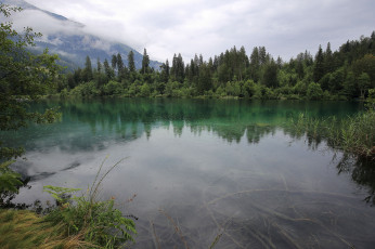 Картинка природа реки озера река лес