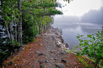 Картинка природа реки озера река лес