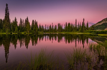 Картинка природа реки озера лес река