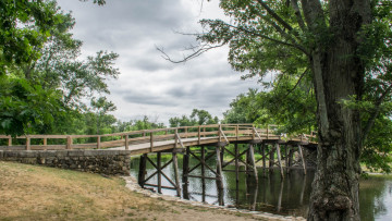 Картинка природа реки озера река лес