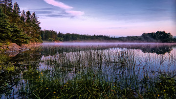 Картинка природа реки озера река лес