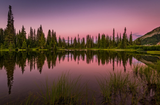 Обои картинки фото природа, реки, озера, лес, река