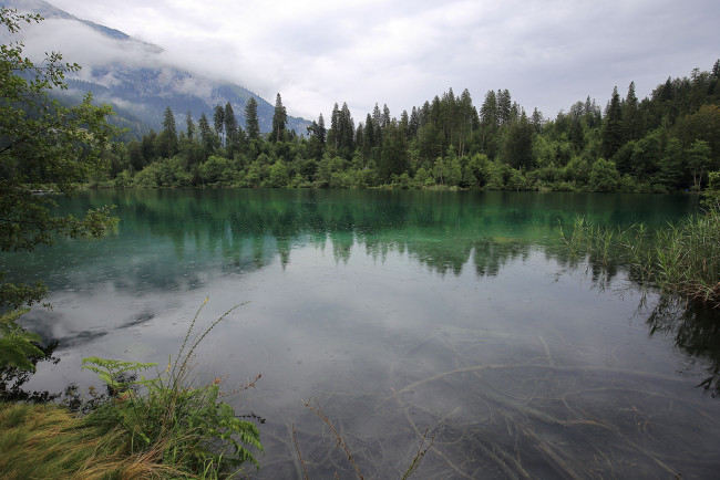 Обои картинки фото природа, реки, озера, река, лес