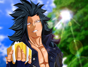 Картинка аниме fairy+tail хвост феи