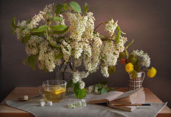 Картинка еда напитки +Чай весна букет натюрморт черемуха композиция