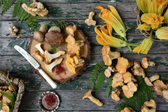 Картинка еда грибы +грибные+блюда лисички