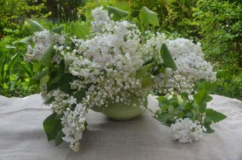 Картинка цветы разные+вместе белая сирень веенний аромат ландыши