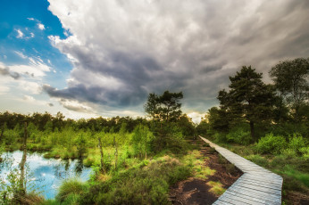 Картинка природа дороги простор