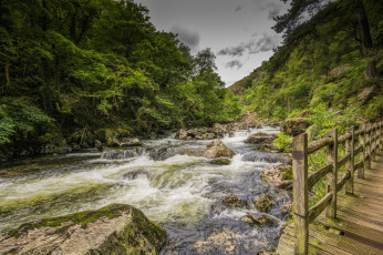 Картинка природа реки озера простор