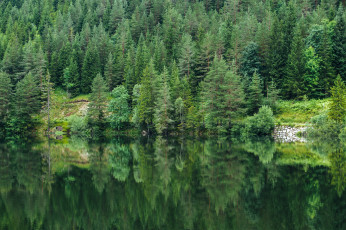 Картинка природа реки озера простор