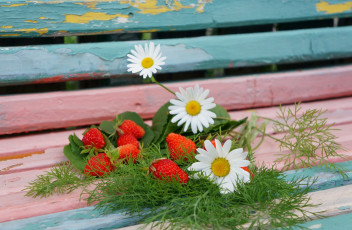 Картинка еда клубника +земляника листья укроп ромашки