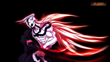 Картинка аниме bleach kurosaki ichigo