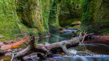 Картинка природа реки озера простор