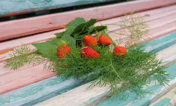 Картинка еда клубника +земляника листья укроп