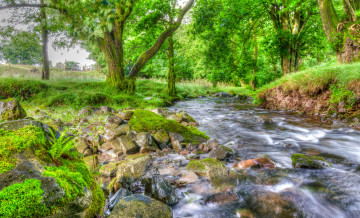 Картинка природа реки озера простор