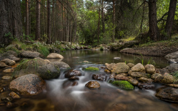 Картинка природа реки озера простор