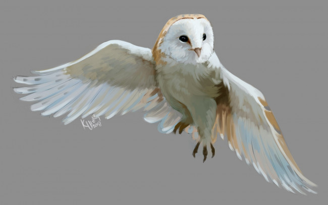 Обои картинки фото рисованное, животные,  птицы,  совы,  филины, сова, птица, арт, полёт