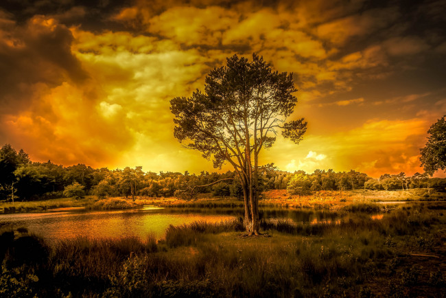 Обои картинки фото природа, восходы, закаты, простор