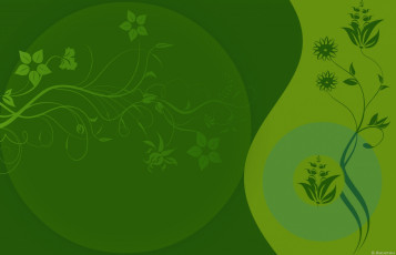 Картинка векторная+графика цветы+ flowers цвет фон узор