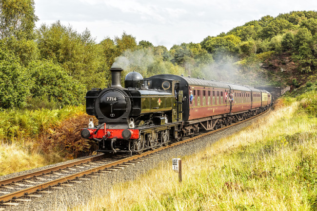 Обои картинки фото техника, паровозы, состав, локомотив