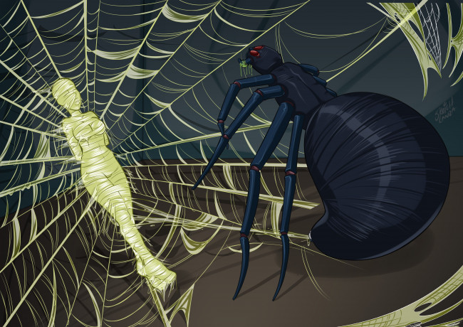 Обои картинки фото векторная графика, мультфильмы , cartoons, паук, девушка