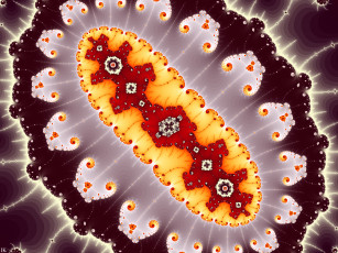 Картинка 3д+графика фракталы+ fractal узор фон цвет