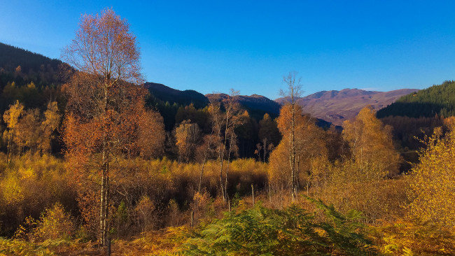 Обои картинки фото природа, пейзажи, простор