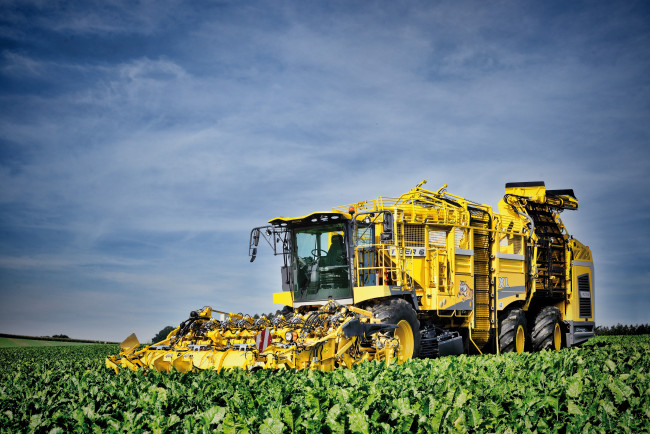 Обои картинки фото ropa tiger 6 xl, техника, комбайны, полевые, работы, уборка, урожая, комбайн