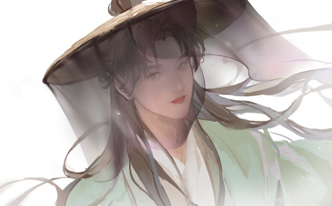 Обои картинки фото рисованное, кино,  мультфильмы, лицо, шляпа, вуаль