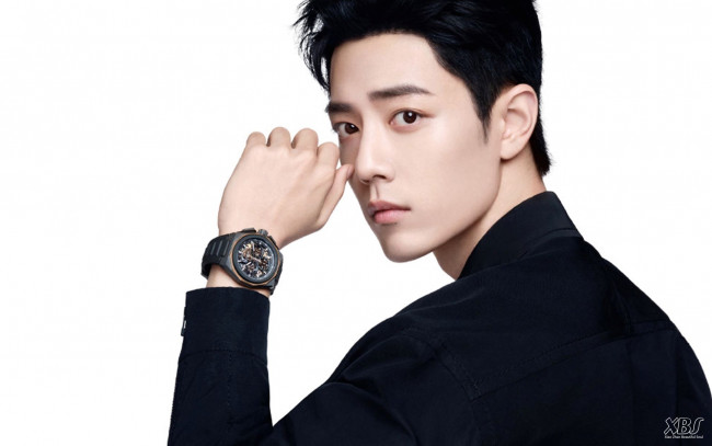 Обои картинки фото мужчины, xiao zhan, актер, часы