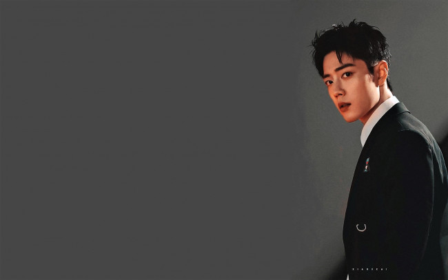 Обои картинки фото мужчины, xiao zhan, актер, пиджак