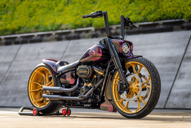 Обои картинки фото мотоциклы, harley-davidson, softail, fat, boy, 114, customized, custombikes, thanos