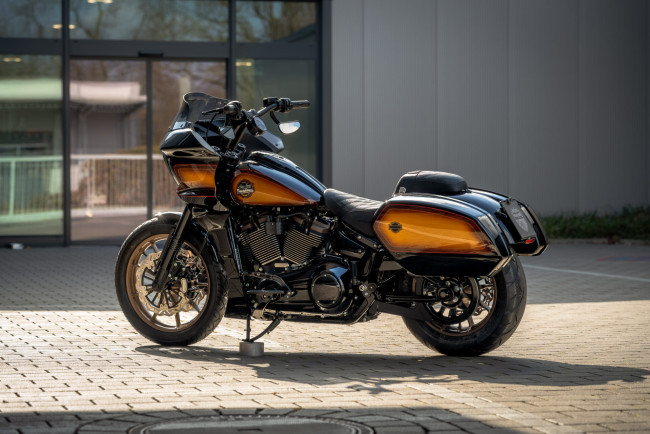 Обои картинки фото мотоциклы, harley-davidson, softail, low, rider, st, customized, custombike, rockstar