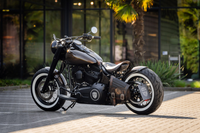 Обои картинки фото мотоциклы, harley-davidson, softail, slim, customized, custombikes, simple