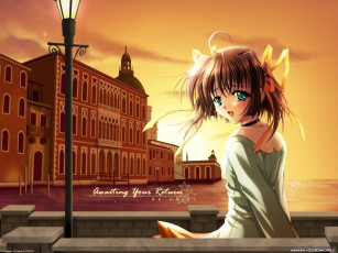 Картинка аниме da capo