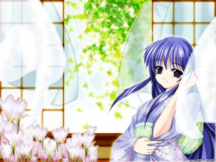 Картинка аниме *unknown другое