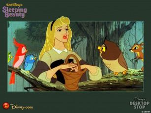 Картинка мультфильмы sleeping beauty