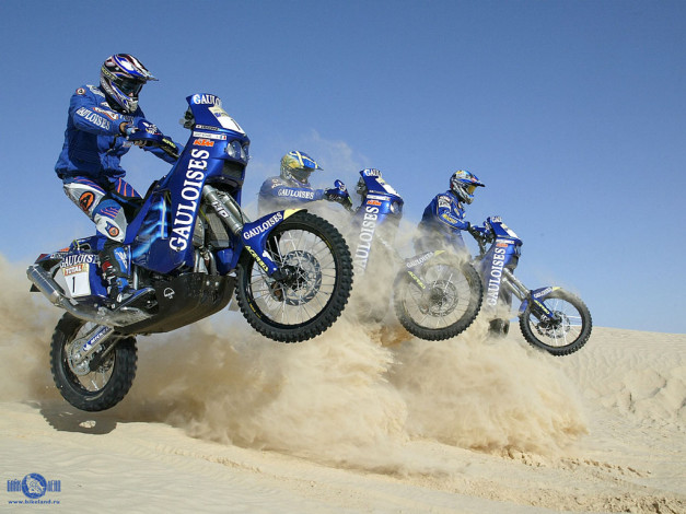 Обои картинки фото спорт, мотокросс